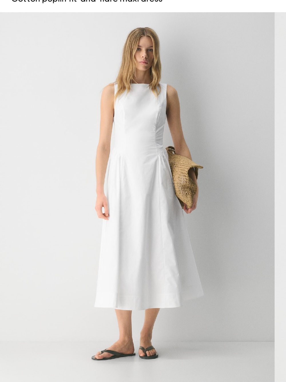 Aritzia Tina Poplin Dress